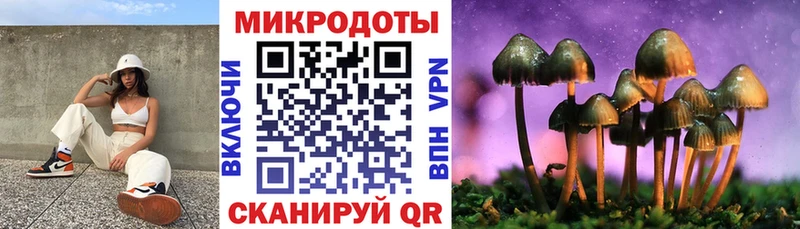 Псилоцибиновые грибы GOLDEN TEACHER  Зеленогорск 