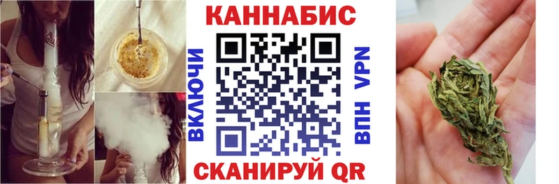 Конопля план  darknet Telegram  Зеленогорск 